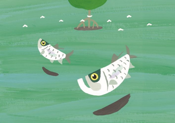 ●「CAMPING」２１5号２０２６年冬号（日本キャンプ協会）