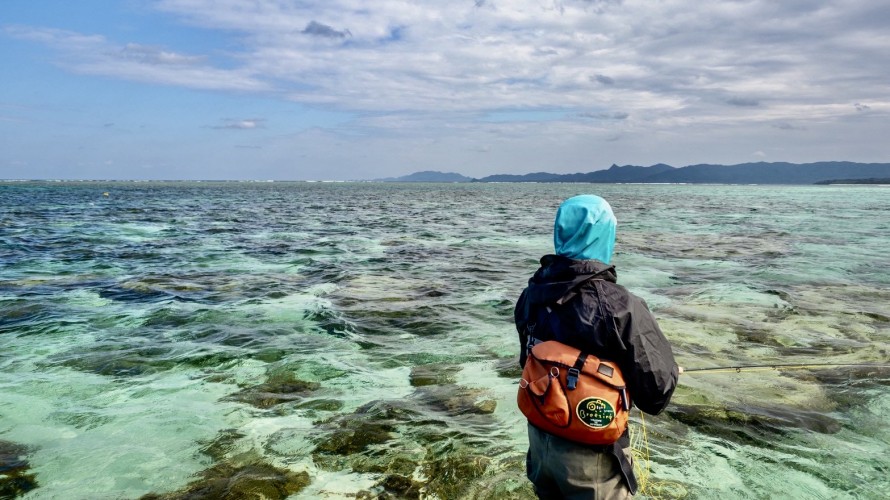 ●『なつはうみ』絵本原画展のお知らせ＋石垣島２０２６初春釣りＲＥＰＯＲＴ