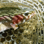 9月16日　然別湖特別解禁セカンドステージへ