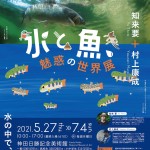 展覧会　「水と魚、魅惑の世界展」知来要＋村上康成