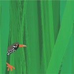 ●村上康成・『野鳥』誌３６年の原画展